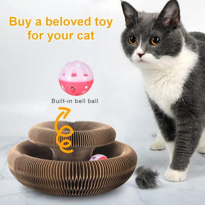 Magic Organ Cat Toy